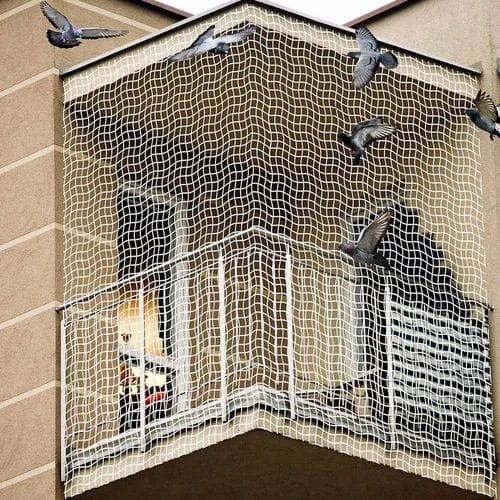 Commercial building bird nets
